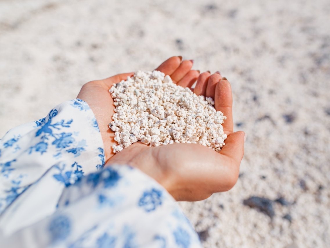 White coral stones in the shape of popcorn in the hand. Famous popcorn beach near Corralejo, Fuerteventura.