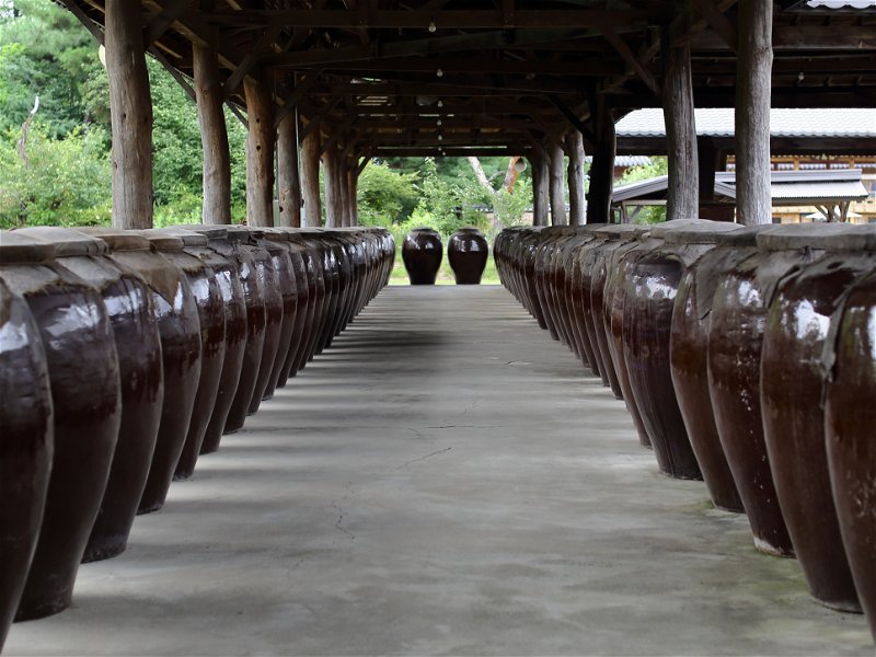 Hier zu sehen sind Onggi, traditionelle Behälter aus Steingut, die für Fermentation von Makgeolli und Soju benutzt werden.
