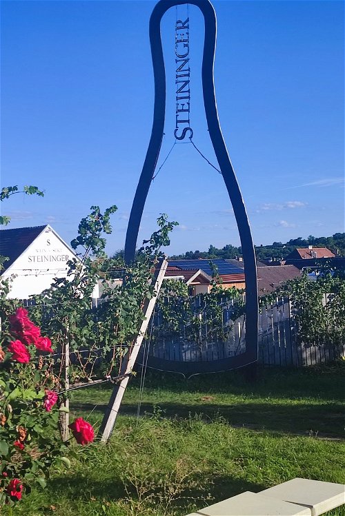 Das Weingut Steininger ist in Niederösterreich stark vertreten.
