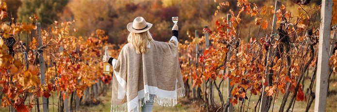 Der Herbst ist ideal für einen Spaziergang inmitten der Weinlandschaft. 