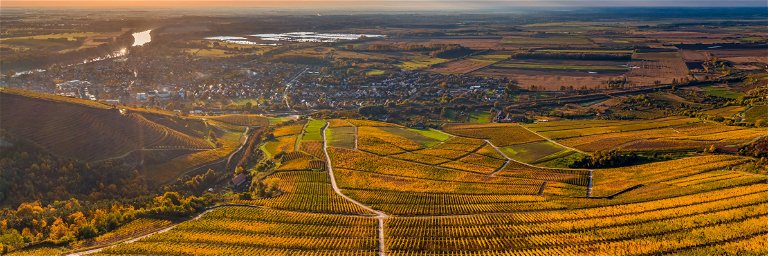 Das ungarische Weinbaugebiet Tokaj bietet nicht nur eine beeindruckende Aussicht.
