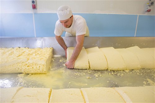 Im Ort Cheddar in Somerset in Südengland wird immer noch Käse hergestellt. Ein wichtiger Produktionsschritt dabei ist das Cheddaring (Kreis), das viel Kraft erfordert.