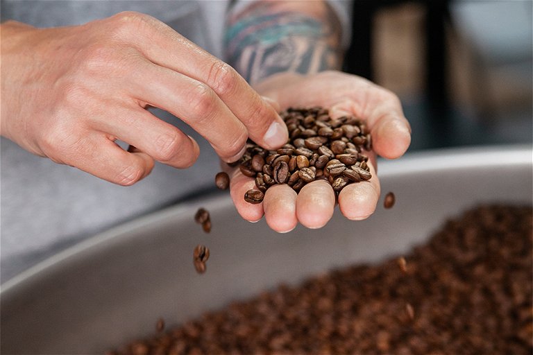 Kaffeeliebhaber genießen die Vielfalt an Aromen und die verschiedenen Geschmacksrichtungen.