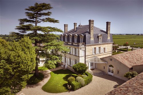 Die Sorte Cabernet Sauvignon ist die Basis des Erfolgs von Pauillac und Weinen wie dem Château Grand-Puy-Lacoste.