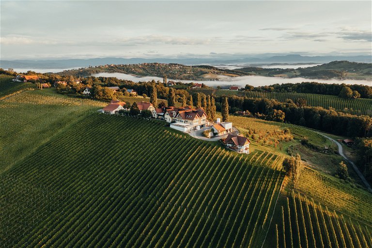 Natur, so weit das Auge reicht, und dazu Genuss, feine Weine, ein besonderer Buschenschank und schöne Weinquartiere. Hier in Mitteregg am Weingut Pichler-Schober beginnt die Südsteiermark mit ihren sanften Hügeln und einzigartigen Weitblicken.
