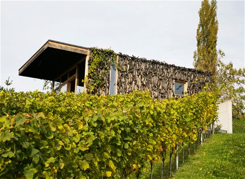 Where the vines vines adorn entire house facades, the love of wine seems almost boundless.