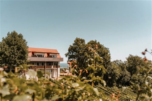 Mathias und Iris Assigal setzen im schönen Weingut in Leibnitz auf die starke Verbundenheit von Natur mit der Tradition und die Kraft einer starken Familie, die gemeinsam am Werk ist.