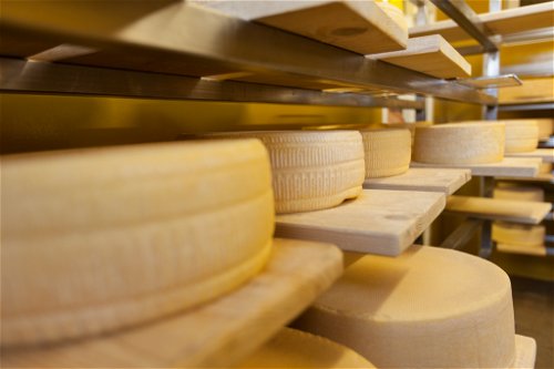 In der Bio-Almsennerei der Lurgbauerhütte reift Käse, der seinen Ursprung auf den umliegenden Almen hat.