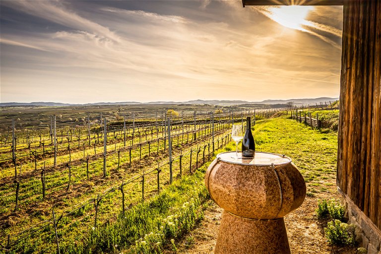 Das Weingut Steiniger hat zwei Erfolgsgeheimnisse: die hohe Qualität der Sektgrundweine, die sich klar, fruchtbetont und duftig präsentieren, 
und die behutsame zweite Gärung in 
der Flasche. 