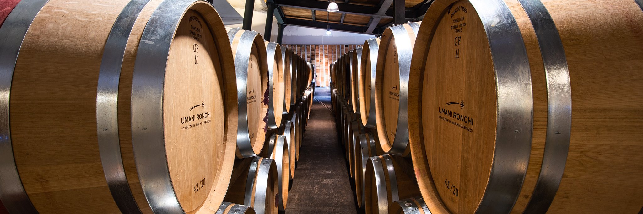 Bei Umani Ronchi im Hinterland der Hafenstadt Ancona reifen nicht nur die Rotweine, sondern auch einige Weißweine im Holzfass.