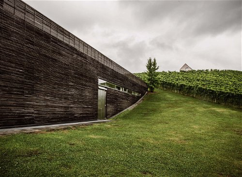 Das Gründach verwebt den aus Stahlbeton errichteten Fass- und Tankkeller des Weinguts Lackner-Tinnacher mit dem Weingarten.