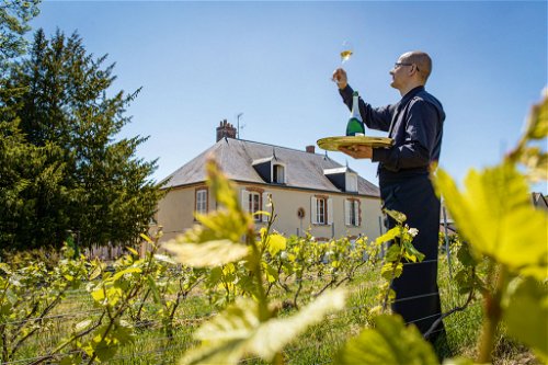 Im Clos du Mesnil im Herzen des gleichnamigen Dorfes Le Mesnil an der Côte de Blancs entsteht der rare Blanc de Blancs von Champagne Krug.