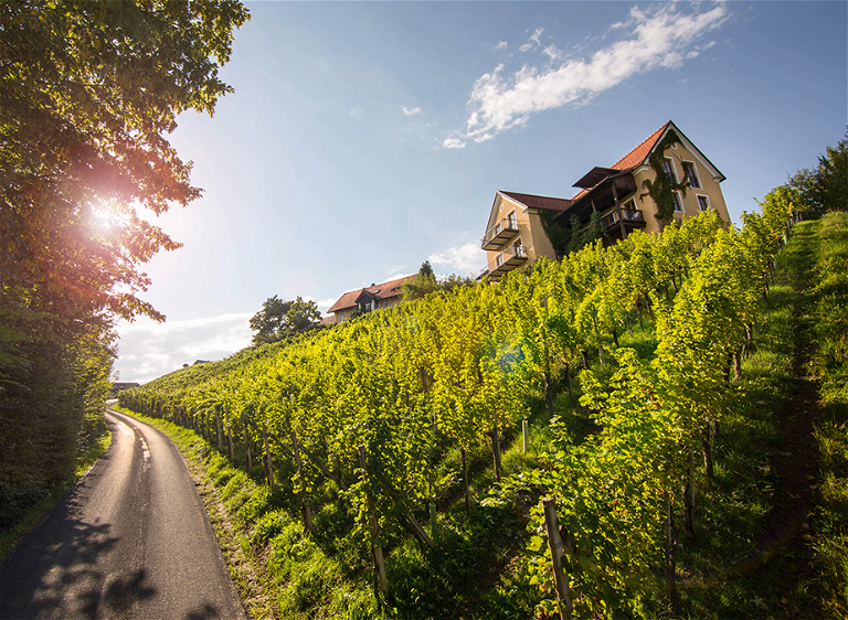Der Sattlerhof bei Gamlitz ist Weingut, Spitzenrestaurant und Hotel, ein wahres kulinarisches Gesamtkunstwerk.
