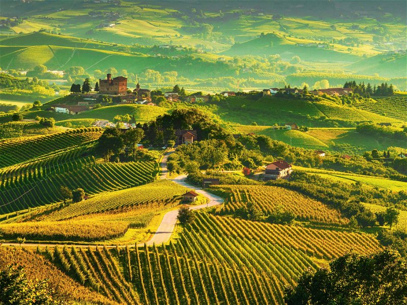 Die malerischen Weinlandschaften des Piemonts erstrahlen nicht nur bei Sonnenuntergang. Die wichtigsten Weißweine werden im Süden der Region angebaut. 