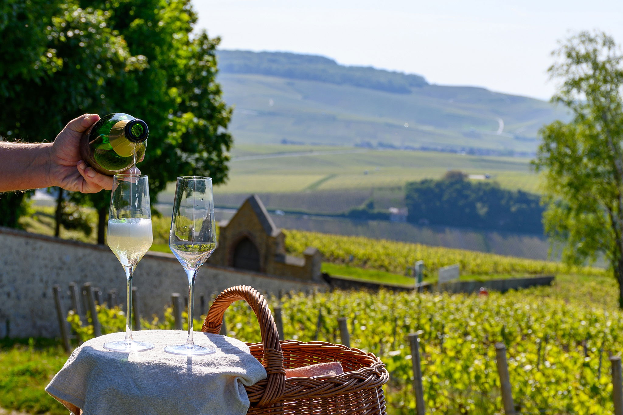 Die Besten Schaumweine Österreichs: Sekt Reinsortig - Falstaff