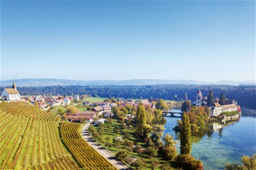 Im zürcherischen Rheinau verbinden sich Tradition zu Zukunft des Schweizer Weinbaus.