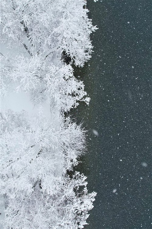 Schneefall am See.