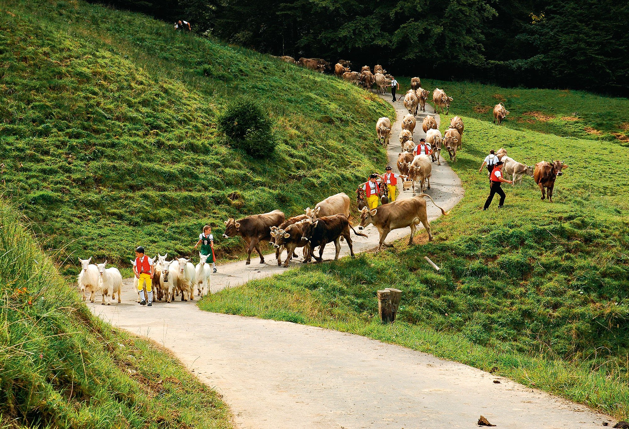 Im Appenzellerland werden Traditionen gepflegt: Beim Alpabzug tragen die Bauern die lokale Tracht. 