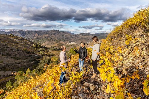 Das Priorat zählt zu den landschaftlich herausragenden Weingegenden Spaniens. Die terrassierten Weinberge sind spektakulär.