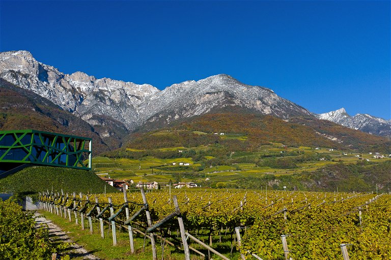 Die Weingüter der Kellerei Tramin erstrecken sich auf einer Höhe von 200 bis 850 Höhenmetern.