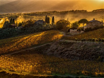 Radda ist das geografische Zentrum des Chianti Classico. Die Weine aus den Lagen um die malerische Ortschaft gelten als besonders ausgewogen. 