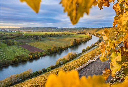 Der Neckar ist die Lebensader des schwäbischen Weinbaus.