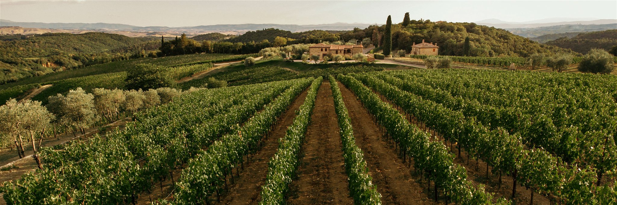 Das einmalige Weingut Boschetto Campacci.