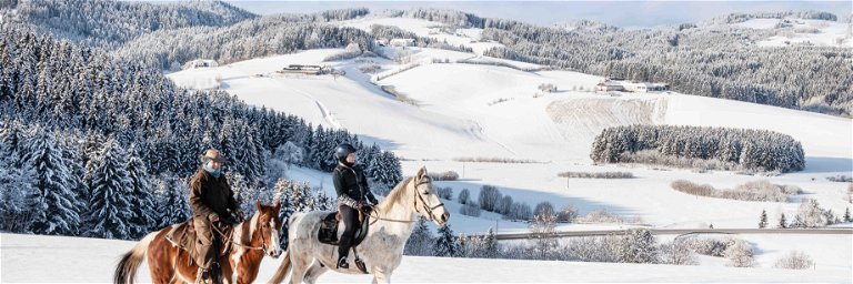 Zwischen dem Winterhimmel und dem Pulverschnee ein Pferderücken: Glücksgefühle kommen im Galopp.