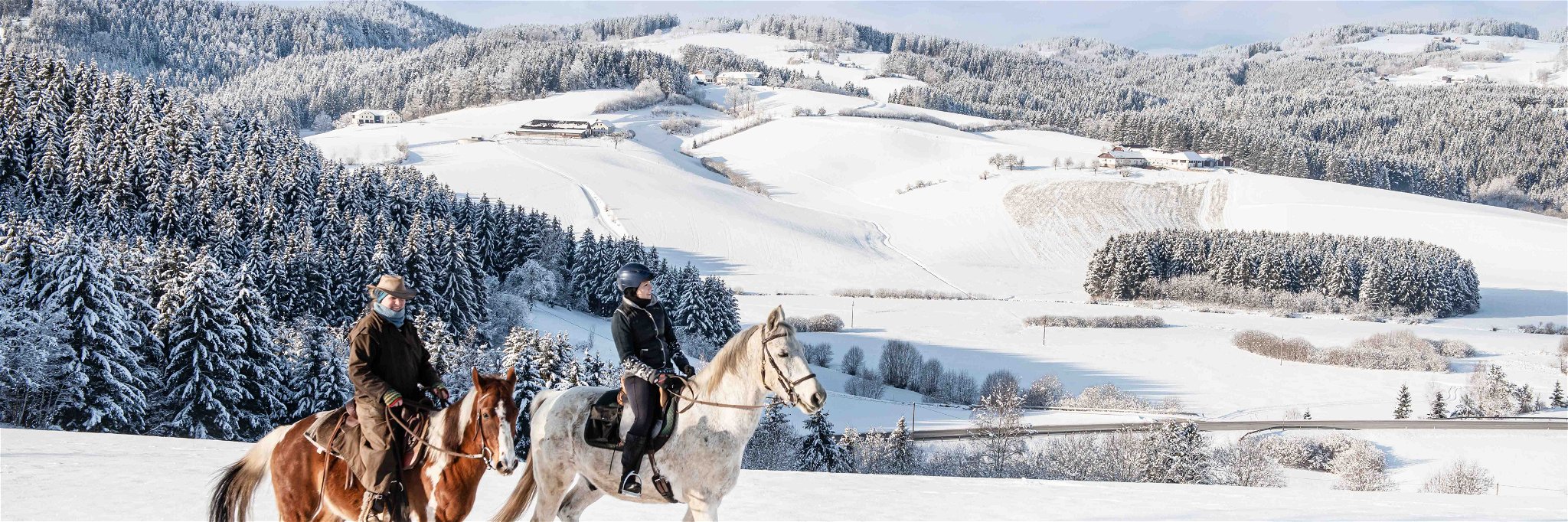 Zwischen dem Winterhimmel und dem Pulverschnee ein Pferderücken: Glücksgefühle kommen im Galopp.