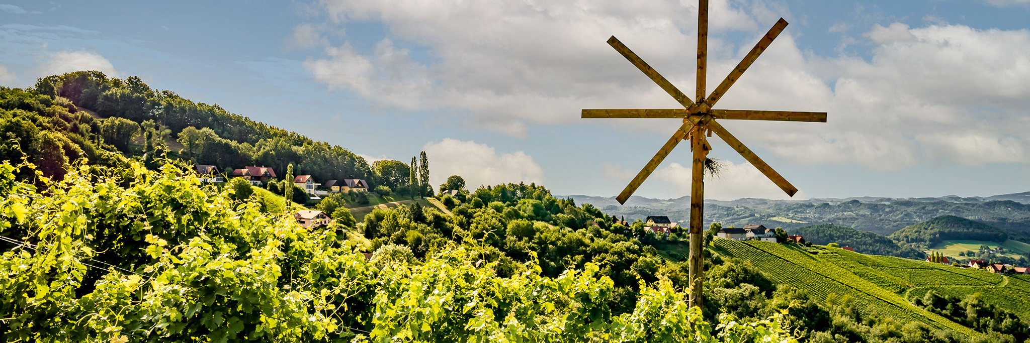 Die Weinberge der Steiermark bringen einzigartige Weißweine aus Sauvignon Blanc hervor.