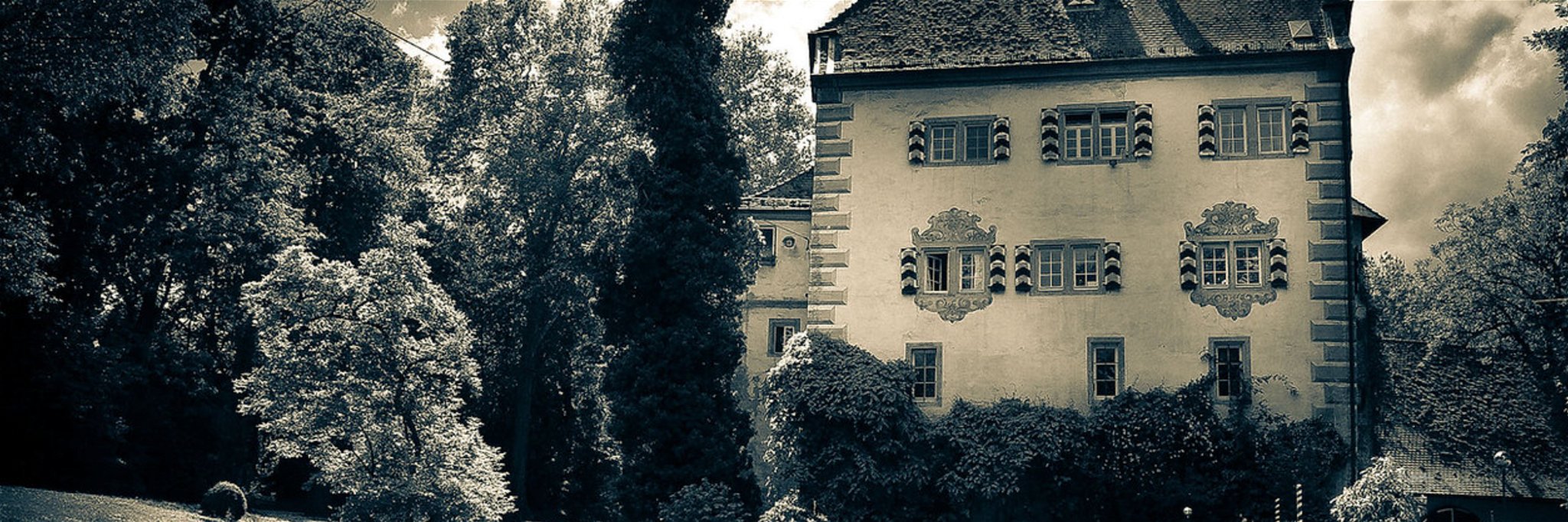 Das Weingut Graf Adelmann auf Burg Schaubeck ist berühmt für seine Cuveés und reinsortigen Weine.