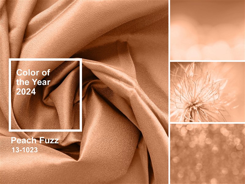 Die »Pantone« Farbe des Jahres ist dieses Jahr »Peach Fuzz«.