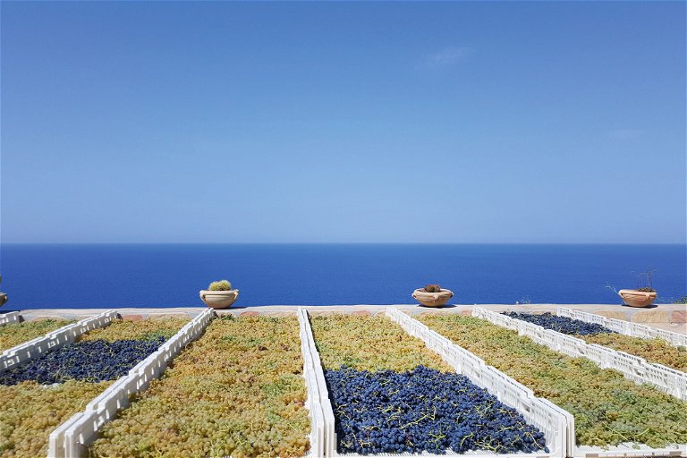 Malvasia-Trauben werden in der Sonne getrocknet; als »Würze« kommen immer auch einige Rotweintrauben hinzu. 