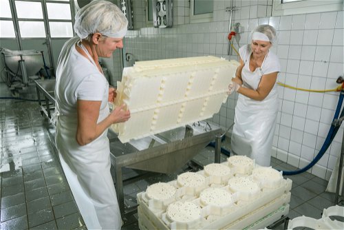 Traditionelle Herstellungsmethoden treffen auf moderne. Die 
Familie Stöbich ­stellt 
in der St. Leonhardter Bio-Käserei gefeierte Weichkäsespezialiäten aus Bio-Milch ihrer 
eigenen Kühe her. 