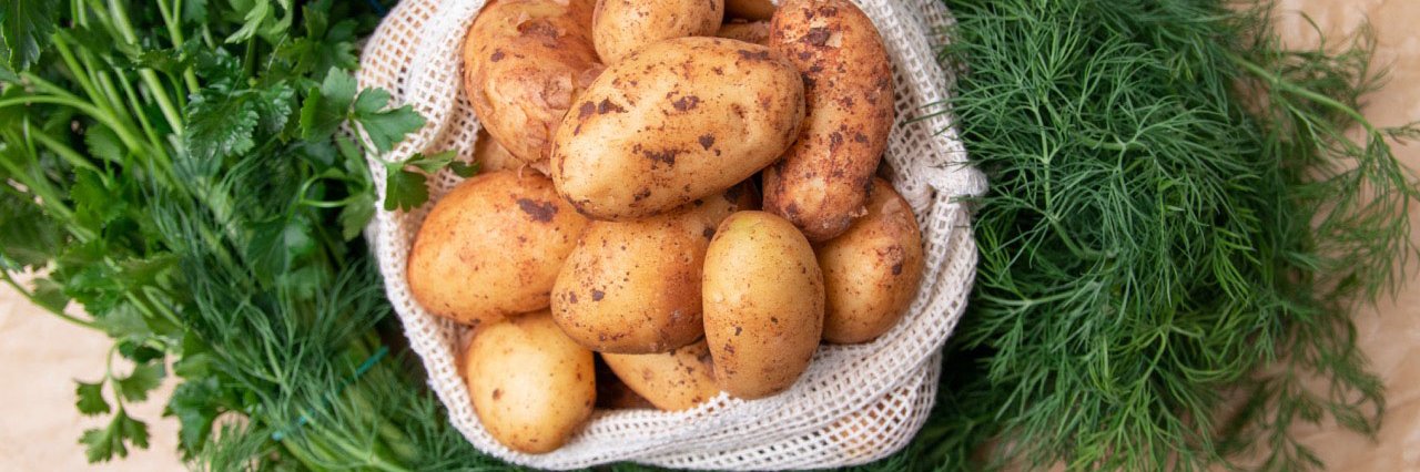 Ob die Kartoffel nun Getreide oder Gemüse ist, wird sich spätestens 2025 zeigen.