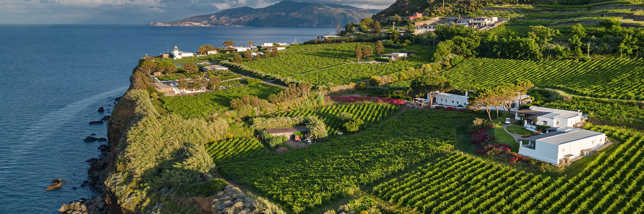 Traumhafte Kulisse: Über den steilen Klippen von Salina breiten sich die Weingärten der Tenuta Capofaro aus. Mittendrin liegt das Hotel »Capofaro Locanda & Malvasia«. 