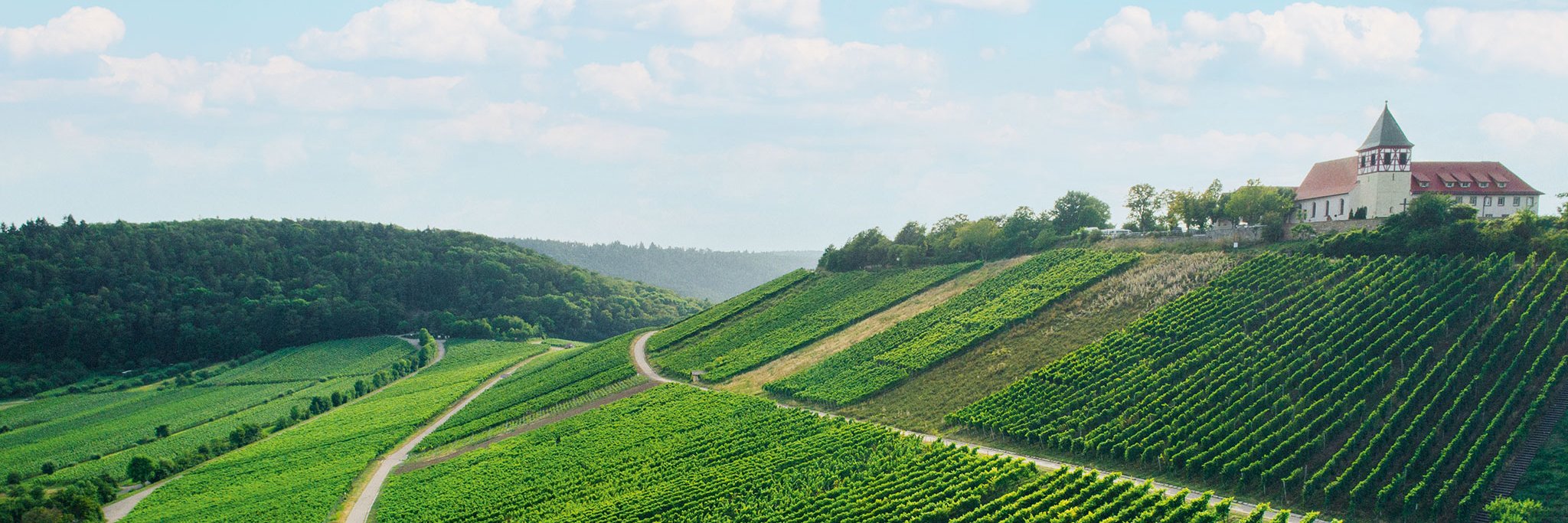 In den Weinbergen des Weinguts Dautel wachsen neben Lemberger und Spätburgunder auch Bordeauxsorten – hier am Cleebronner Michaelsberg.
