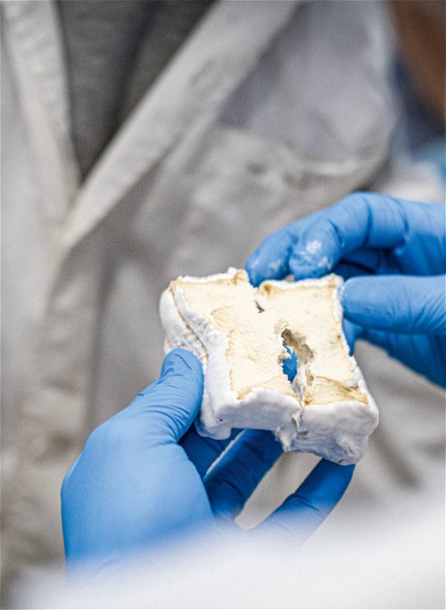 Handwerk. Egal, ob Cashew- oder Kuhmilch – bei der Herstellung von Käse sind Fingerspitzengefühl und Erfahrung gefragt.