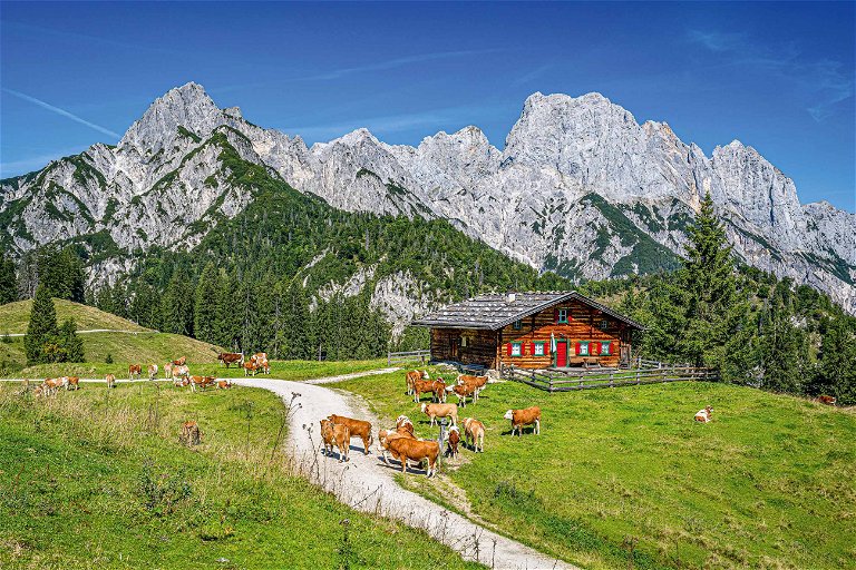 Bergkäse. Österreichs berühmtester Käse wird in den alpinen Regionen des Landes hergestellt, insbesondere in Vorarlberg, Tirol, Salzburg und der Steiermark.