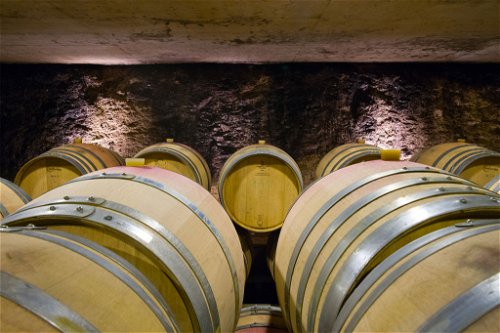 Bei der Vinifizierung der Merlot-Trauben setzt man bei Kopp von der Crone Visini seit einigen Jahren auf Kaltmazeration, um noch mehr Frische zu erlangen. 