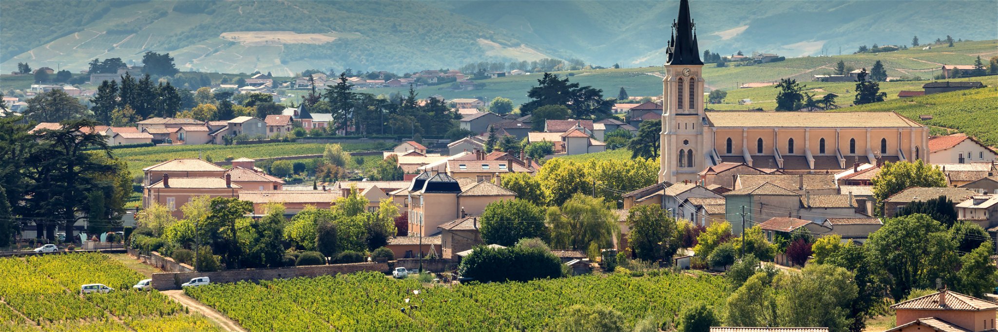 Die Gemeinde Fleurie ist einer der Orte, an denen das Beaujolais nicht nur landschaftlich besonders malerisch ist, sondern auch Spitzenweine hervorbringen kann.