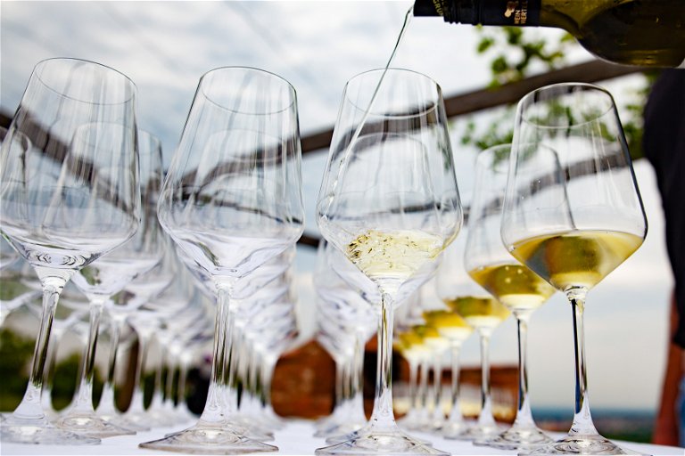 Der Wagram steht für saftige, elegante und feinfruchtige Weißweine aus der Sorte Grüner Veltliner.