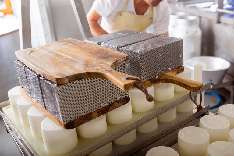 Bei der Herstellung von »Sura Kees« oder »Bloderchäs« wird der Käsebruch zum Abtropfen in viereckige, gelochte Kisten geschöpft.