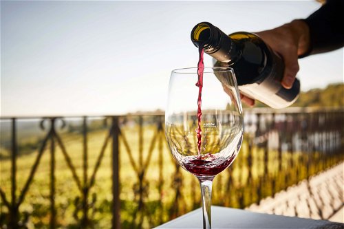 Am Weingut Jalits widmet man sich seit fünf Generationen dem Weinbau, das bekannt ist für seine authentischen Weine.