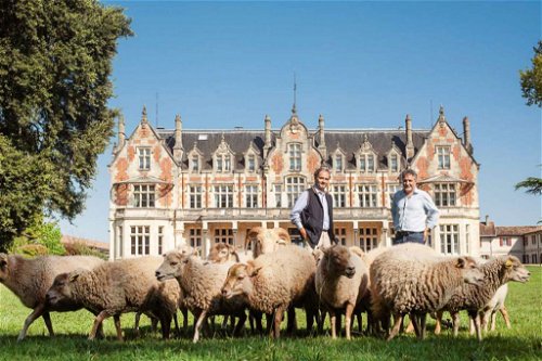 Cantenac-Brown in Margaux has recently started to rely on animal co-operation.