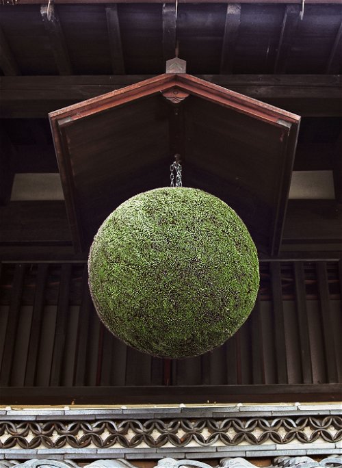 These balls made from branches of the sickle fir tree are traditionally hung outside the doors of breweries at the start of the brewing season. 
