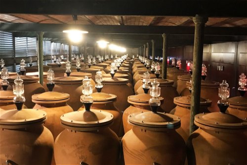 Durfort-Vivens in Margaux has the most clay amphorae in the world. 