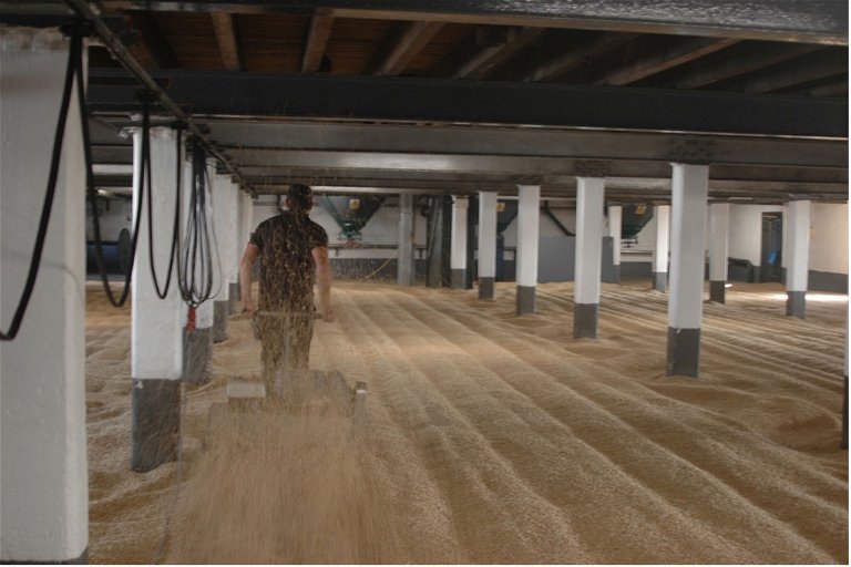 Maltsters at work: Laphroaig is proud to be one of the few Scottish distilleries to still practise traditional floor malting.