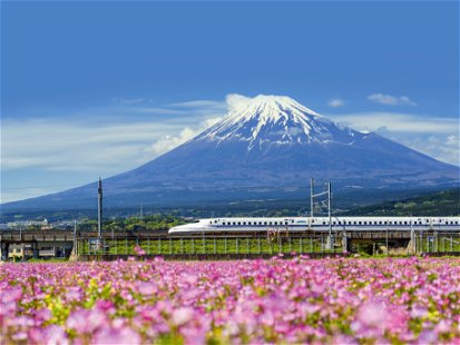 Nicht nur gutes Timing und ein Platz auf der rechten Zugseite sind wichtig, um den berühmten Fuji beim Vorbeifahren zu sehen. Etwas Glück gehört auch dazu, denn der höchste Berg Japans versteckt sich gern hinter einer Nebelwand. 