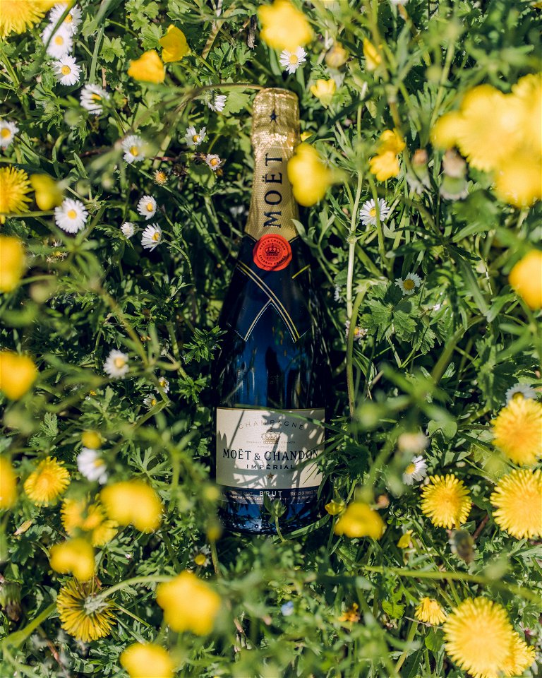 Moët &amp; Chandon: The famous champagne brand and the no less famous cognac Hennessy are the namesakes for the Moët Hennessy conglomerate of drinks brands at LVMH.